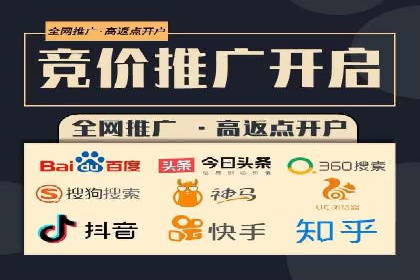 百度竞价推广案例：行业领军者成长故事